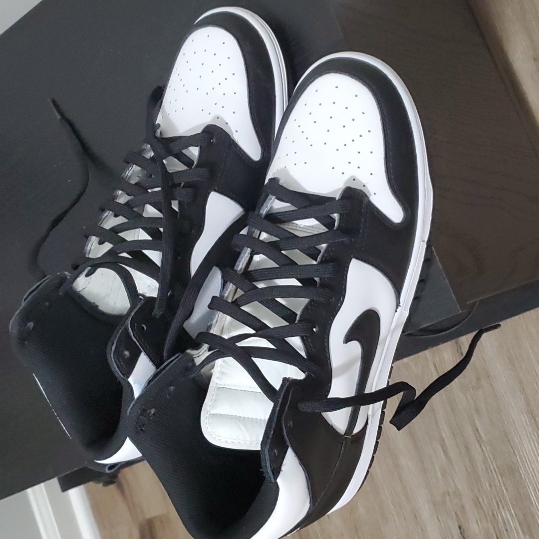 Nike Dunk Hi Retro